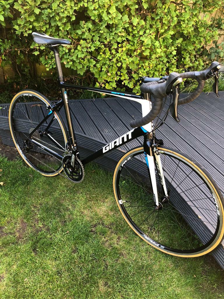 giant xl road bike